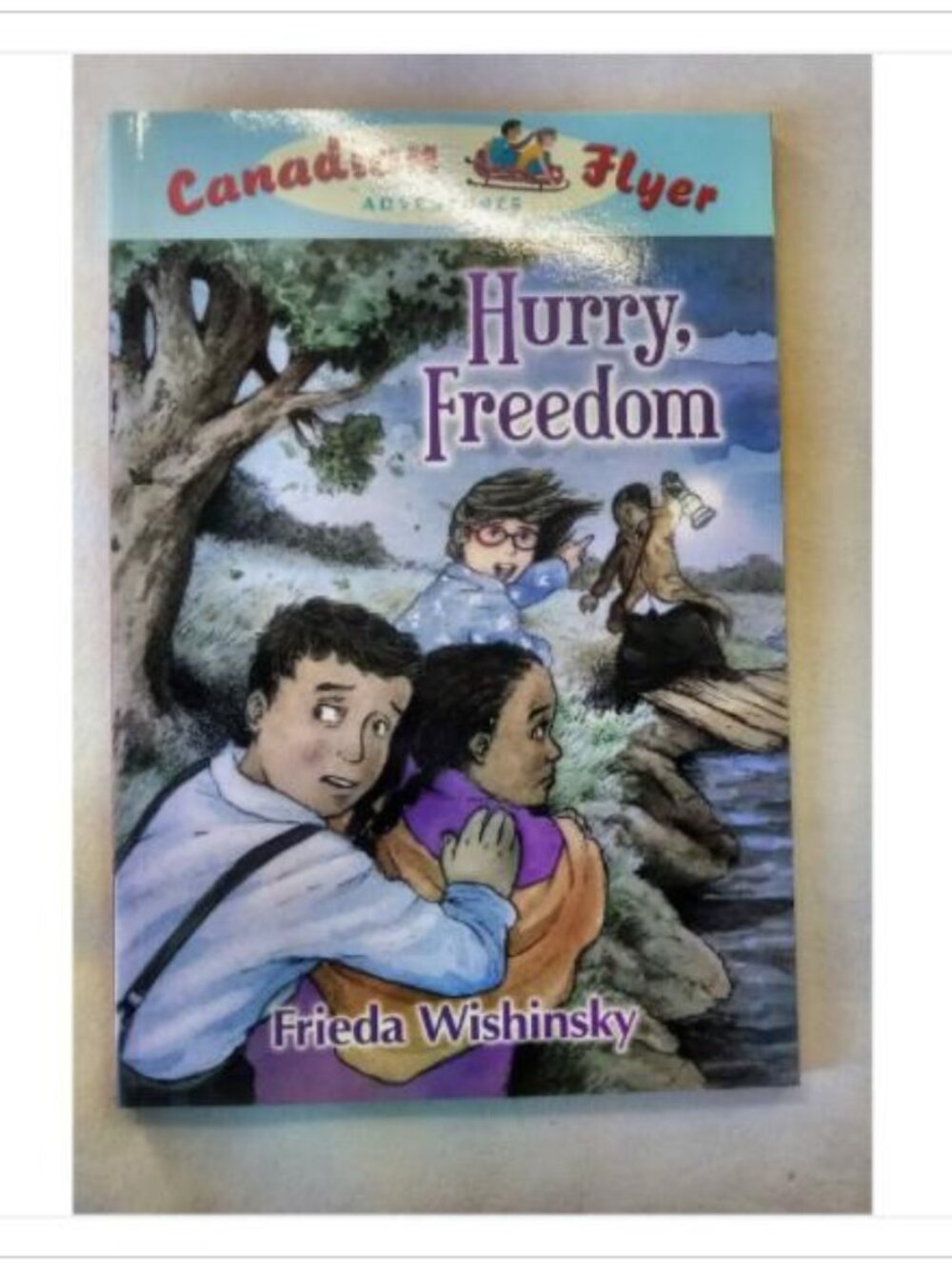 Hurry, Freedom Frieda Wishinsky 2008 First Edition Paperback Book Vintage Novel